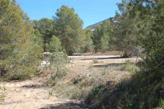 TERRENO RUSTICO ALFAZ DEL PI - ALICANTE