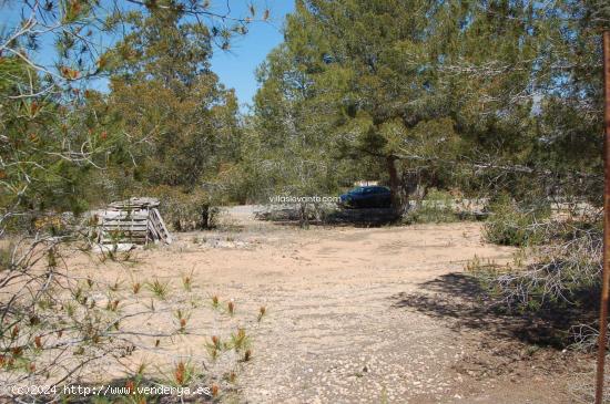 TERRENO RUSTICO ALFAZ DEL PI - ALICANTE