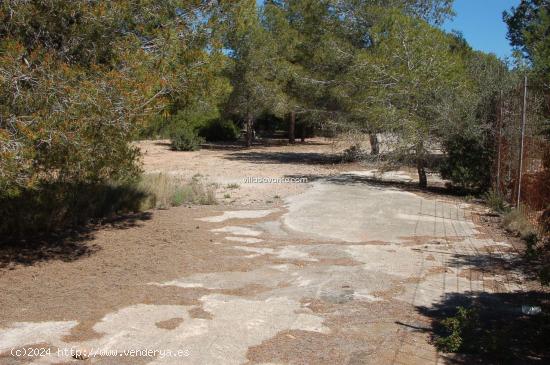 TERRENO RUSTICO ALFAZ DEL PI - ALICANTE