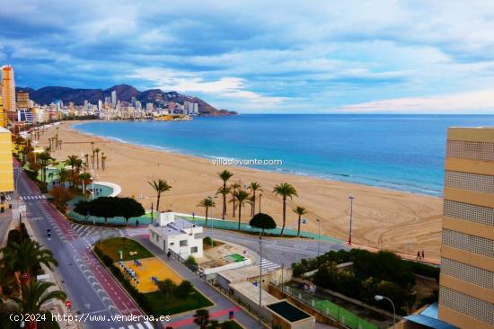  PONIENTE FABULOSAS VISTAS - ALICANTE 