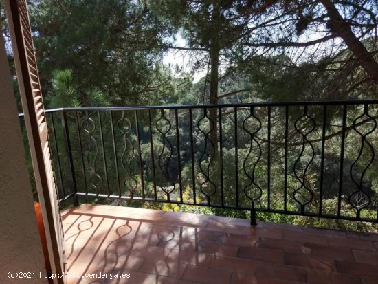 Chalet / Torre en venta  en Lloret de Mar - Girona