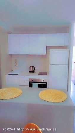 Apartamento en Alquiler vacacional en Oropesa Del Mar Castellón