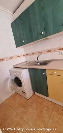  Piso en Venta en Torrevieja Alicante 