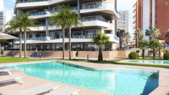 Apartamento en Venta en Guardamar Del Segura Alicante