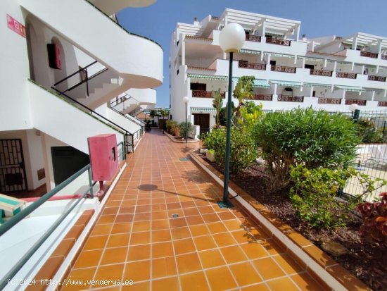 APARTAMENTO DE UN DORMITORIO CON VISTAS AL MAR EN LOS CRISTIANOS