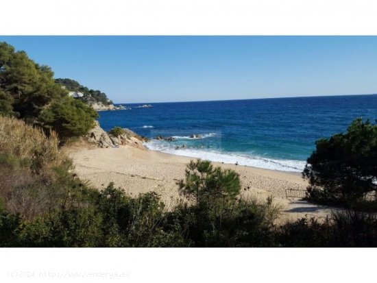 Parcela en Venta en Tossa De Mar Girona