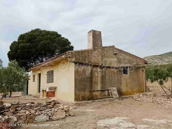  Casa de campo-Masía en Venta en Caudete Albacete 