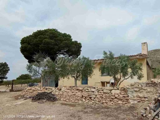 Casa de campo-Masía en Venta en Caudete Albacete