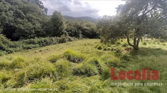 Extenso suelo urbano Limpias, Cantabria