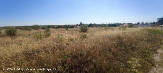 Finca rústica de 2,6 hectáreas junto a la A5