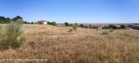 Finca rústica de 2,6 hectáreas junto a la A5