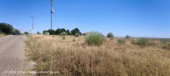 Finca rústica de 2,6 hectáreas junto a la A5