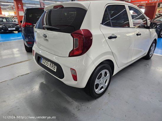 Kia Picanto  Kia Picanto  Concept 67 cv - El Prat de Llobregat