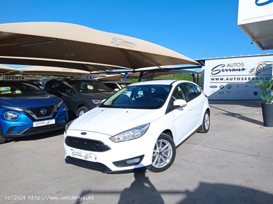 Ford Focus 1.5 TDCI 120 CV BUSINESS - Manilva