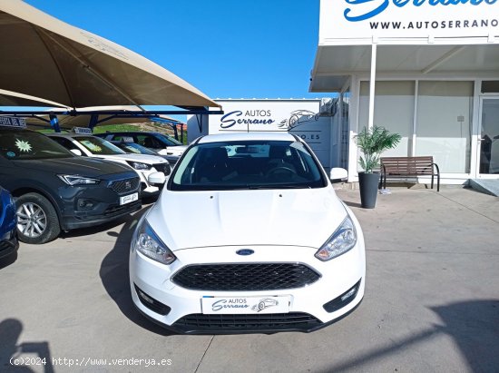 Ford Focus 1.5 TDCI 120 CV BUSINESS - Manilva