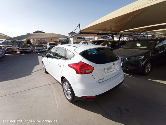 Ford Focus 1.5 TDCI 120 CV BUSINESS - Manilva