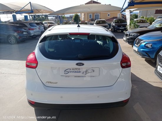 Ford Focus 1.5 TDCI 120 CV BUSINESS - Manilva