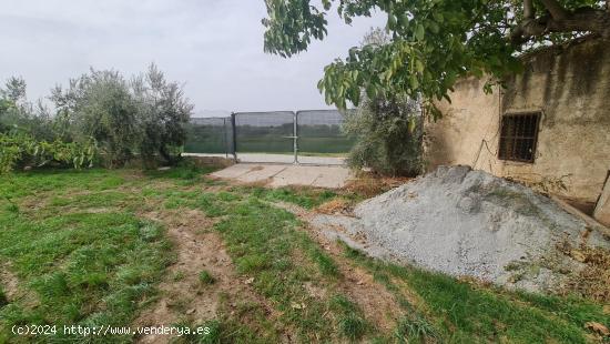 FINCA ECOLÓGICA A UNOS MINUTOS DEL PTS - GRANADA