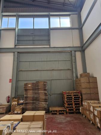 NAVE EN ALQUILER EN PARQUE EMPRESARIAL - ALICANTE