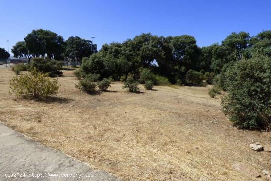  Se vende finca en  en Urbanización Medina Azahara ... - GUADALAJARA 