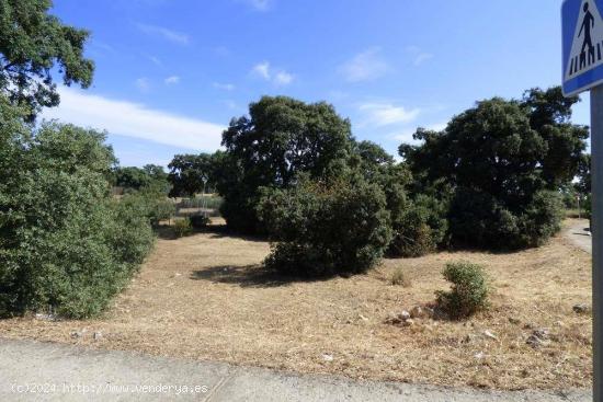 Se vende finca en  en Urbanización Medina Azahara ... - GUADALAJARA