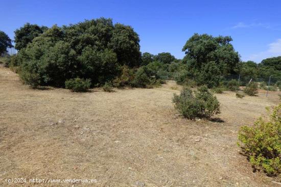 Se vende finca en  en Urbanización Medina Azahara ... - GUADALAJARA