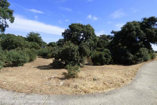 Se vende finca en  en Urbanización Medina Azahara ... - GUADALAJARA