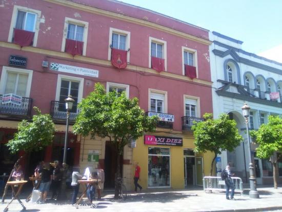 Oficinas en calle Larga Primera Planta. Gran balcon a calle Larga. Refomada. Buen estado - CADIZ