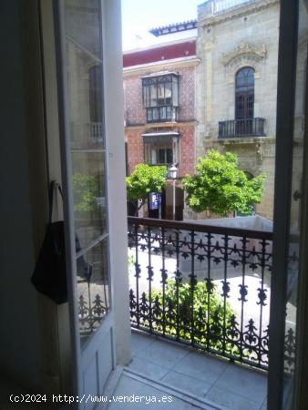 Oficinas en calle Larga Primera Planta. Gran balcon a calle Larga. Refomada. Buen estado - CADIZ