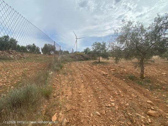 Finca de olivos cerca de Padul - GRANADA