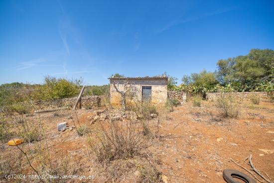 Suelo Rústico con caseta antigua para reformar en Santa Margalida - BALEARES