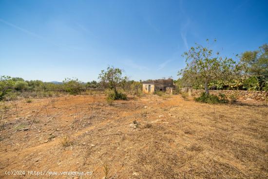 Suelo Rústico con caseta antigua para reformar en Santa Margalida - BALEARES