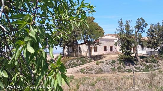  FINCA RURAL 267 HECTAREAS CON 6 VIVIENDAS CON PISCINAS - MURCIA 