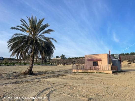  Terreno Agrario de 17.879 metros en Cañadas de San Pedro con casa de 36 metros - MURCIA 