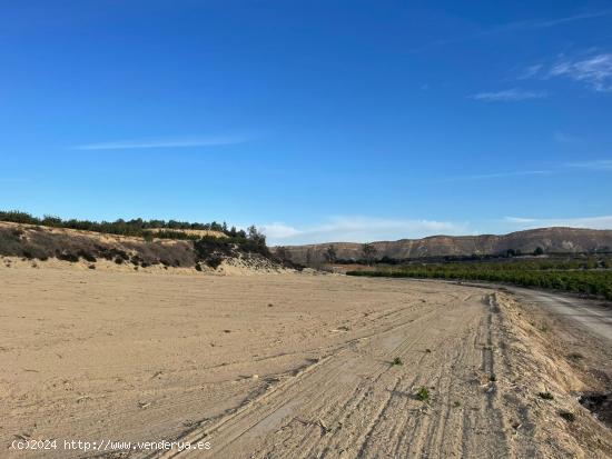 Terreno Agrario de 17.879 metros en Cañadas de San Pedro con casa de 36 metros - MURCIA