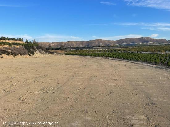 Terreno Agrario de 17.879 metros en Cañadas de San Pedro con casa de 36 metros - MURCIA