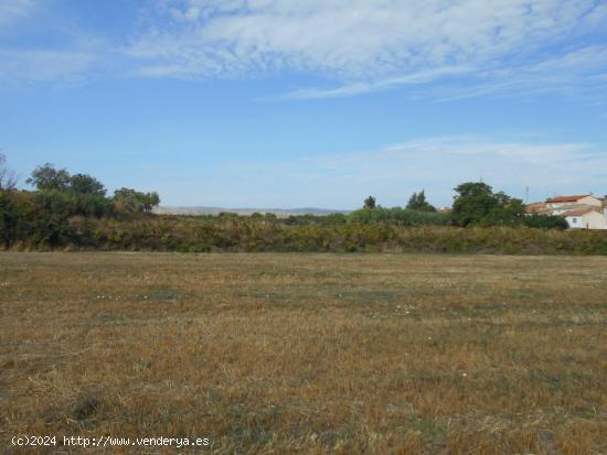 VENDO TERRENO URBANIZABLE DE 8000 m2, en MONTEAGUDO, (Navarra) - NAVARRA