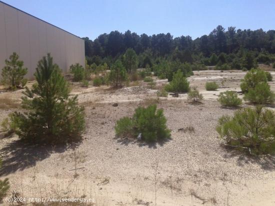 SE VENDE PARCELA INDUSTRIAL EN GOLMAYO - SORIA