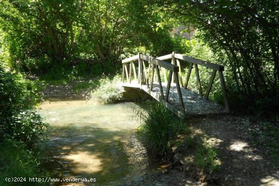 SE VENDE FINCA RÚSTICA EN TORRELLAS (ZARAGOZA) - ZARAGOZA