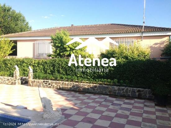 CHALET ESPECTACULAR - ALBACETE