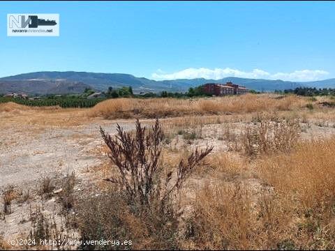 Venta de parcela de 8.364m2 en Albelda de Iregua (La Rioja) - LA RIOJA