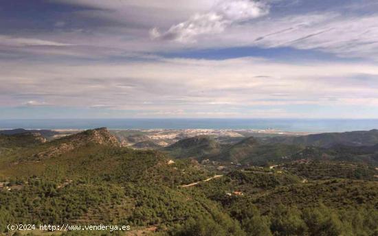 Una pequeña parte de la Serra Calderona - VALENCIA