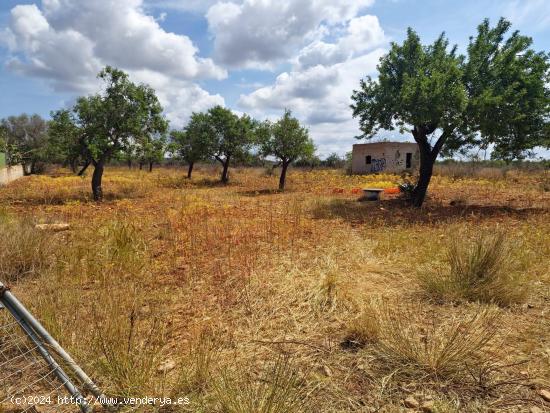 ¡Construye tu Hogar en un Paraíso Rural! Solar en Marratxí: 14.260 metros cuadrados de Oportunida