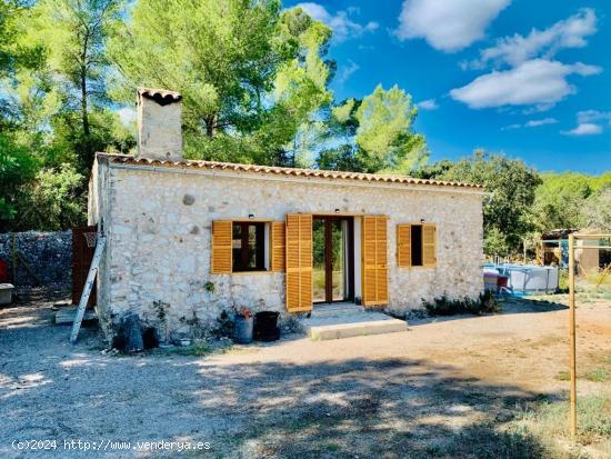 Porreres, rústica con casita de piedra en venta - BALEARES