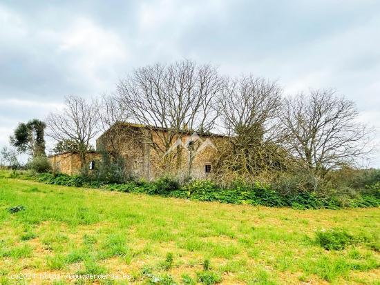 Finca rústica de 26.000 m2 en Campos - BALEARES