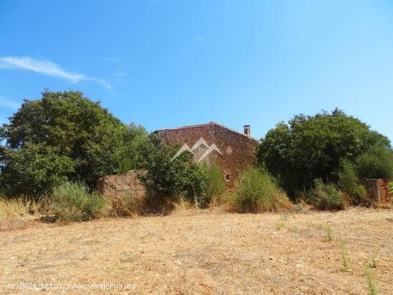 Finca rústica de 26.000 m2 en Campos - BALEARES