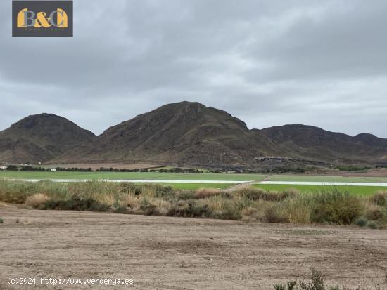 FINCA EN EL CHARCÓN - MURCIA