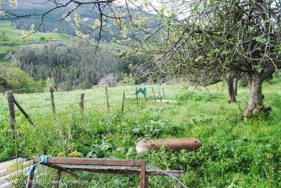 SE VENDE CASA CON TERRENO - RAMALES DE LA VICTORIA - CANTABRIA