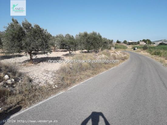 TERRENO AGRICOLA CON AGUA DE RIEGO Y CULTIVOS - ALICANTE