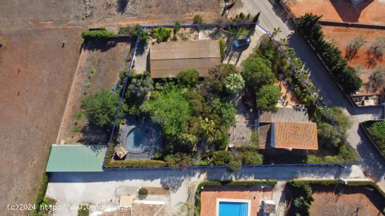 Casa en el campo de Javea - ALICANTE